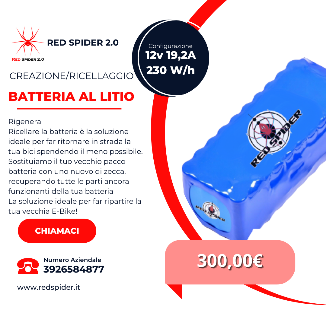 RED SPIDER - PACCHI BATTERIE 12 VOLT - SENZA BMS