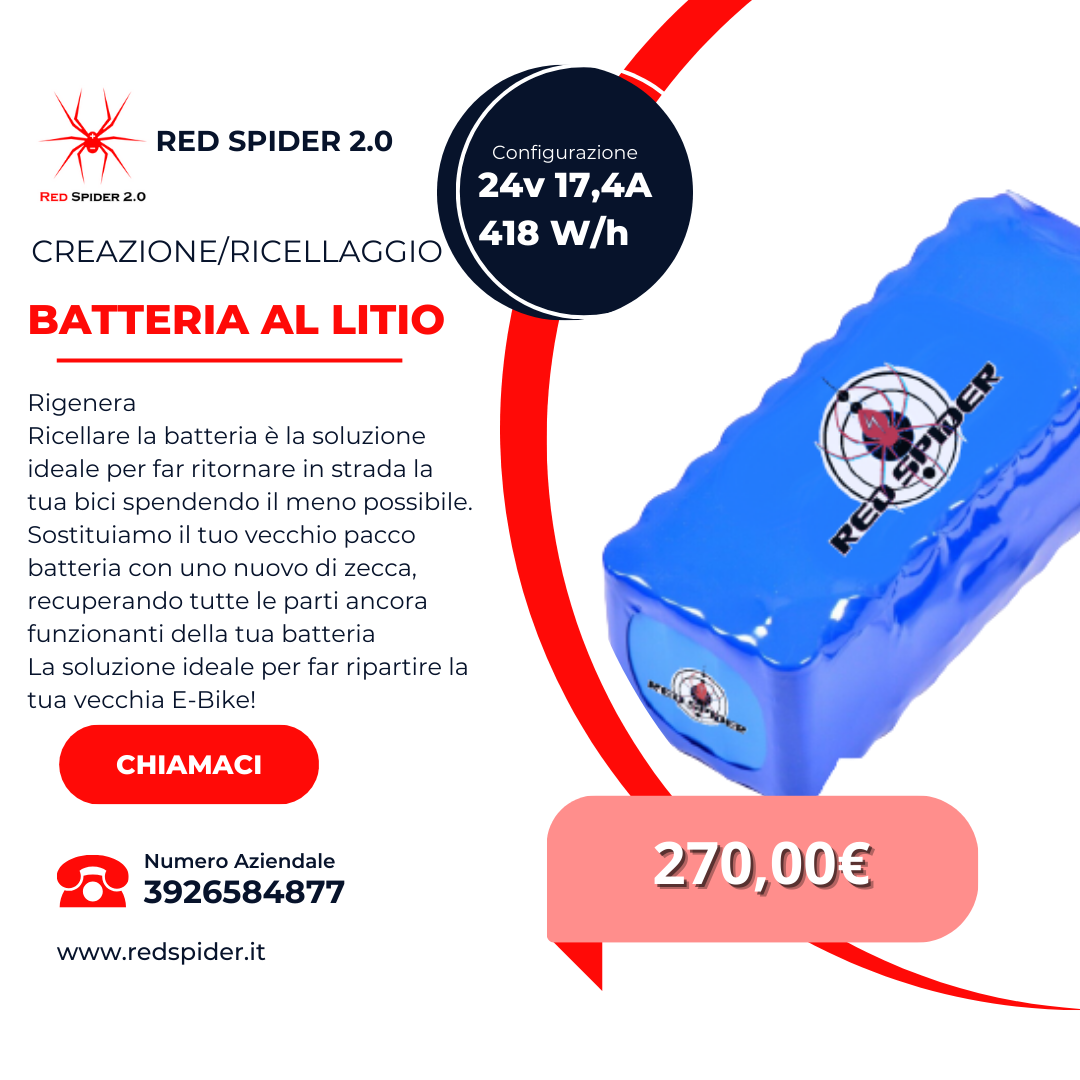 Servizio Ricellaggio/Creazione pacchi batterie 24 Volt - 24 Volt 17,4A 418 W/h