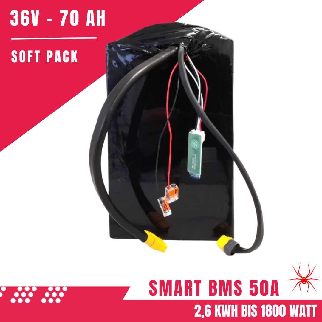 Red Spider 2.1 - Batteria SoftPack Li-Ion 36V 70Ah Smart BMS 50A 2,6 KWh bis 1800 Watt