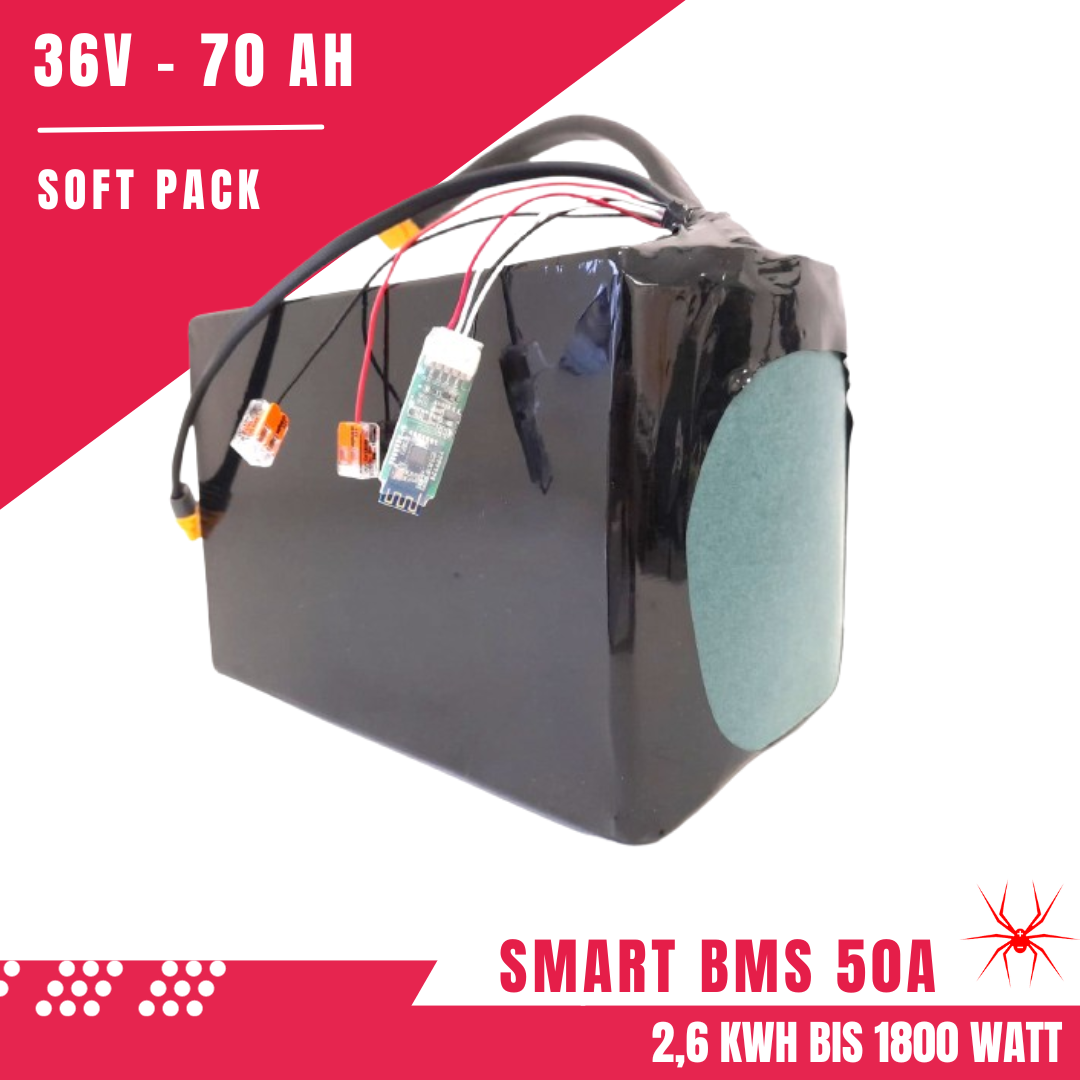 Red Spider 2.1 - Batteria SoftPack Li-Ion 36V 70Ah Smart BMS 50A 2,6 KWh bis 1800 Watt