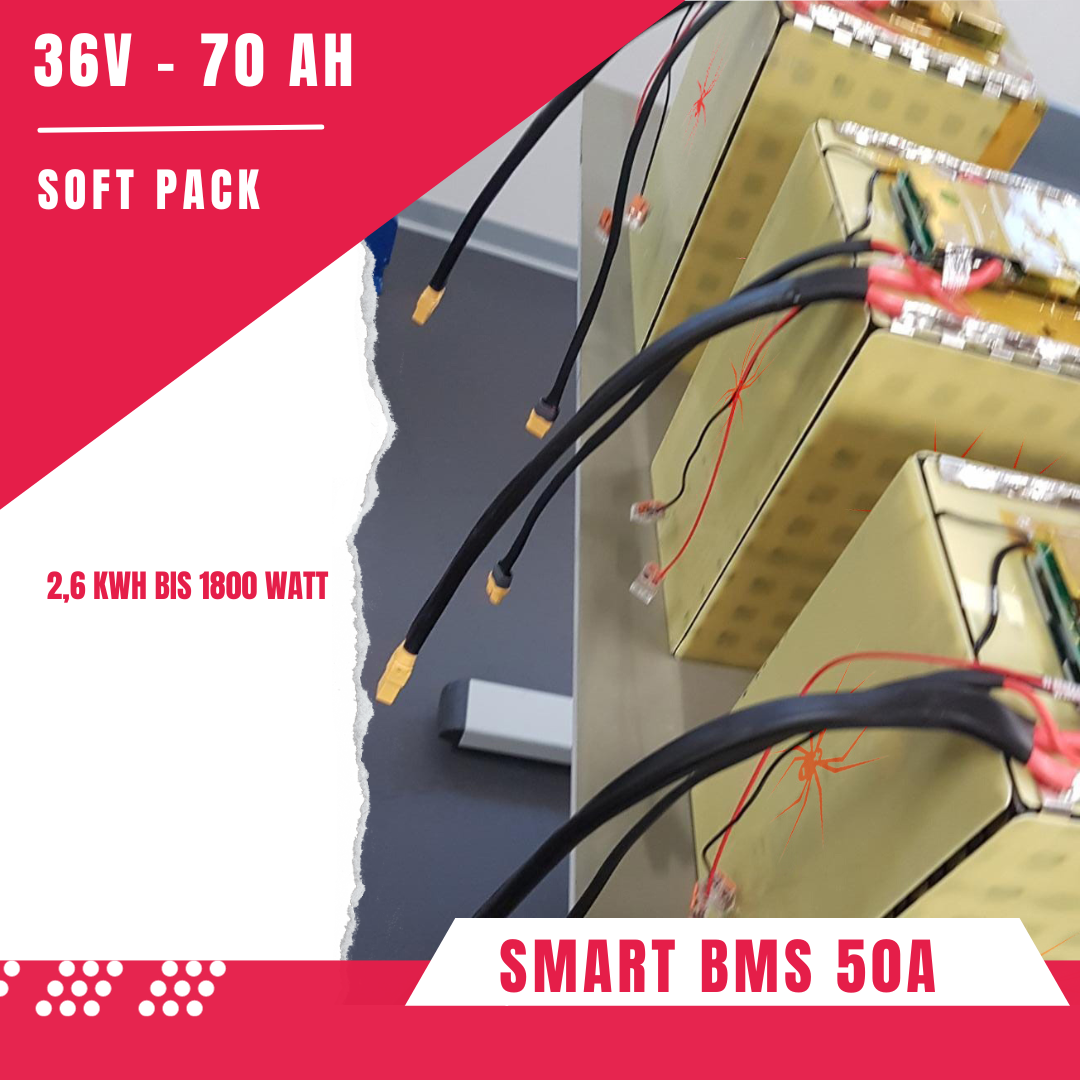 Red Spider 2.1 - Batteria SoftPack Li-Ion 36V 70Ah Smart BMS 50A 2,6 KWh bis 1800 Watt